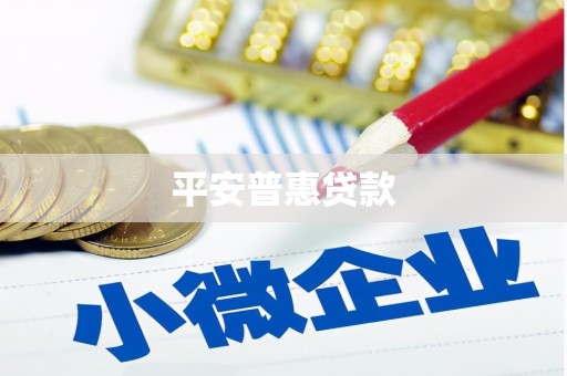 清镇平安普惠贷款