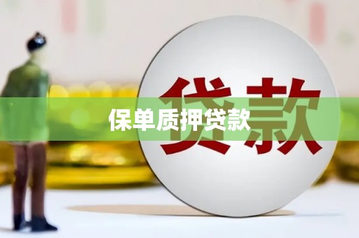 清镇保单质押贷款