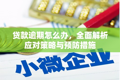清镇贷款逾期怎么办，全面解析应对策略与预防措施