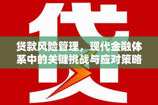清镇贷款风险管理，现代金融体系中的关键挑战与应对策略