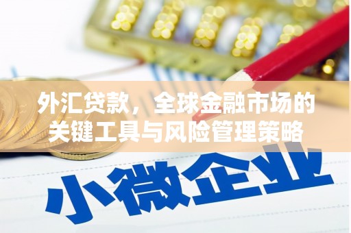 清镇外汇贷款，全球金融市场的关键工具与风险管理策略