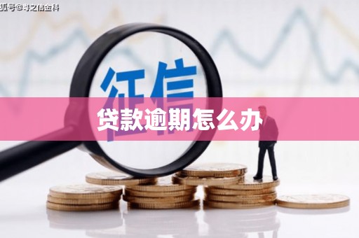 清镇贷款逾期怎么办