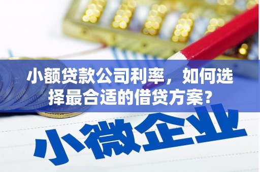 清镇小额贷款公司利率，如何选择最合适的借贷方案？