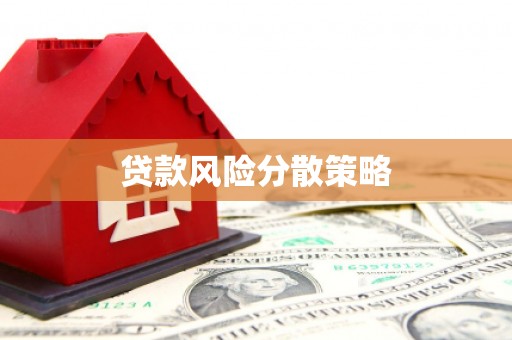 清镇贷款风险分散策略