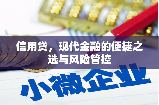清镇信用贷，现代金融的便捷之选与风险管控