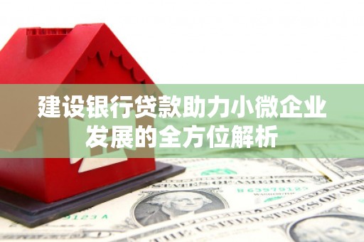 清镇建设银行贷款助力小微企业发展的全方位解析