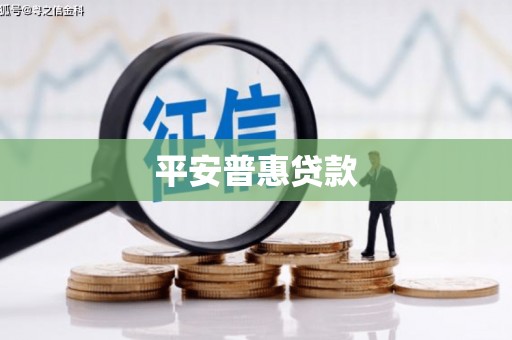 清镇平安普惠贷款