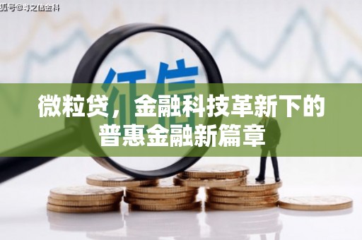 清镇微粒贷，金融科技革新下的普惠金融新篇章