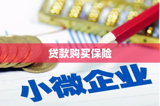 清镇贷款购买保险