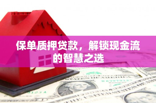 清镇保单质押贷款，解锁现金流的智慧之选
