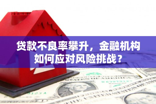清镇贷款不良率攀升，金融机构如何应对风险挑战？