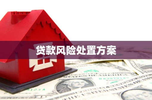 清镇贷款风险处置方案