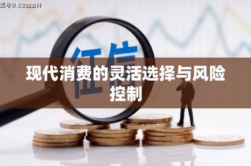 清镇现代消费的灵活选择与风险控制