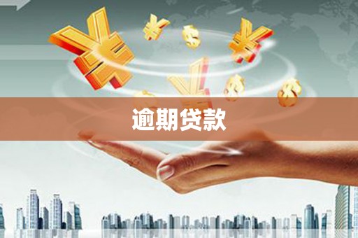 清镇逾期贷款