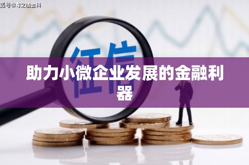 清镇助力小微企业发展的金融利器