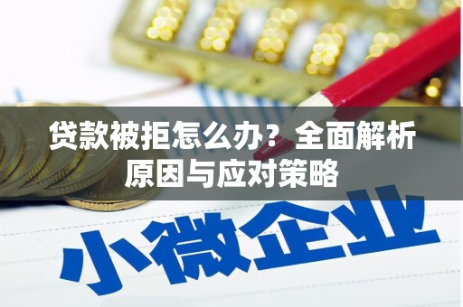 清镇贷款被拒怎么办？全面解析原因与应对策略
