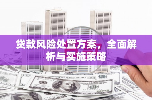 清镇贷款风险处置方案，全面解析与实施策略