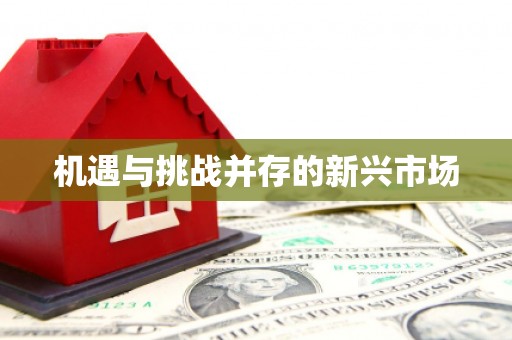 清镇机遇与挑战并存的新兴市场