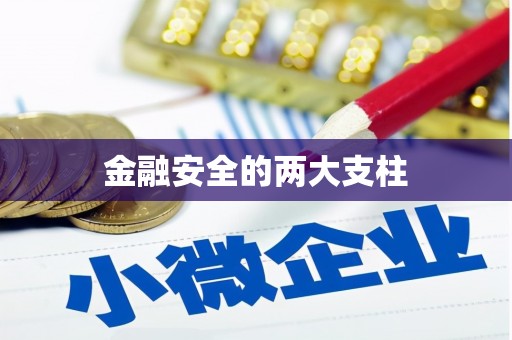 清镇金融安全的两大支柱
