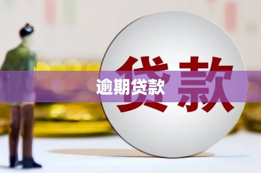 清镇逾期贷款
