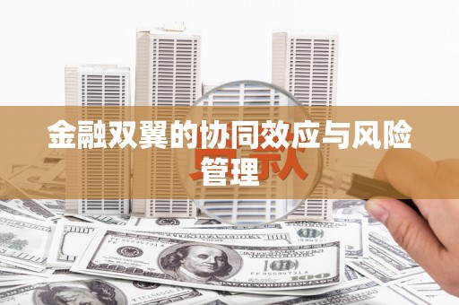 清镇金融双翼的协同效应与风险管理
