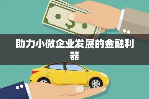 清镇助力小微企业发展的金融利器