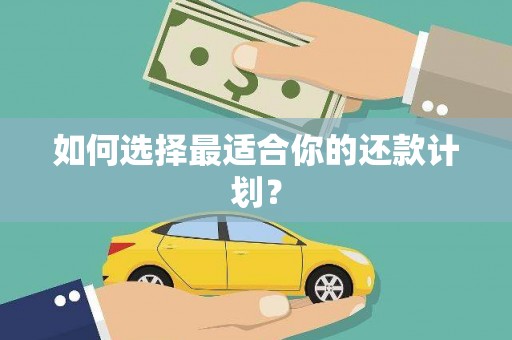 清镇如何选择最适合你的还款计划？