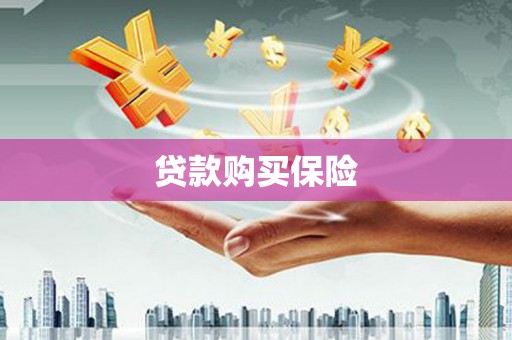 清镇贷款购买保险
