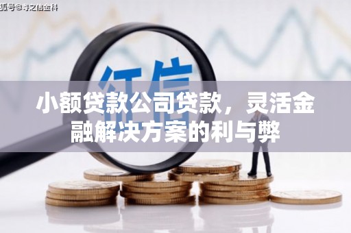 清镇小额贷款公司贷款，灵活金融解决方案的利与弊